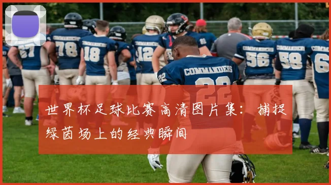 世界杯足球比赛高清图片集：捕捉绿茵场上的经典瞬间