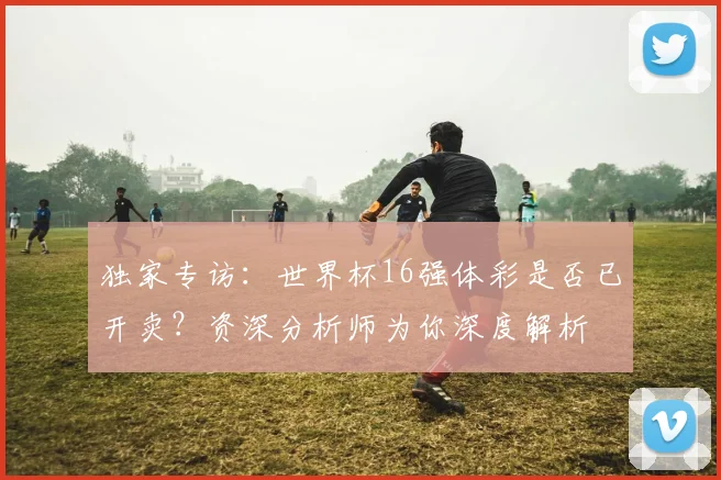 独家专访：世界杯16强体彩是否已开卖？资深分析师为你深度解析