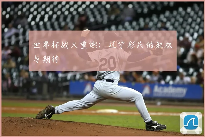 世界杯战火重燃：辽宁彩民的狂欢与期待
