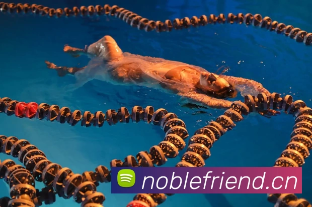 多媒体互动体验